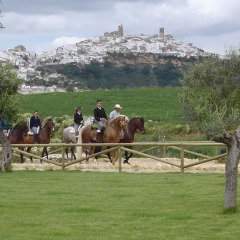 Отель Cortijo Mesa de la Plata спортивное сооружение