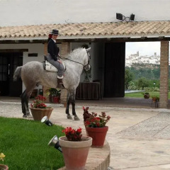 Отель Cortijo Mesa de la Plata с домашними животными