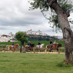 Отель Cortijo Mesa de la Plata детские мероприятия