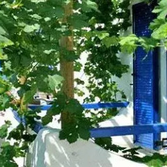Отель Andreas Греция, Агистри - отзывы, цены и фото номеров - забронировать отель Andreas онлайн фото 6