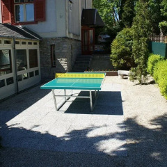 Park Hotel Hévíz с домашними животными