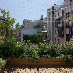 Отель Lush Houses Galata фото 3
