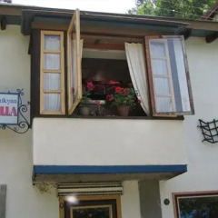 Отель Dili Villa Армения, Дилижан - отзывы, цены и фото номеров - забронировать отель Dili Villa онлайн фото 10