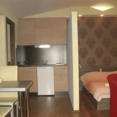 Отель Apartmani Jankovic комната для гостей фото 2