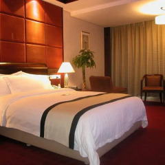 Chinflux Mandarin Hotel комната для гостей фото 2