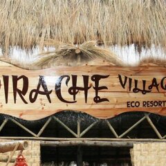 Pirache Village-Eco Resort in Morjim, India from 176$, photos, reviews - zenhotels.com beach