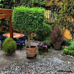 Отель La Casita del Patio Verde Мексика, Мехико - отзывы, цены и фото номеров - забронировать отель La Casita del Patio Verde онлайн фото 2