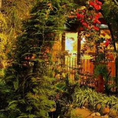 Отель La Casita del Patio Verde Мексика, Мехико - отзывы, цены и фото номеров - забронировать отель La Casita del Patio Verde онлайн фото 3