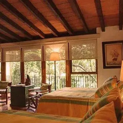 Отель La Casita del Patio Verde Мексика, Мехико - отзывы, цены и фото номеров - забронировать отель La Casita del Patio Verde онлайн развлечения
