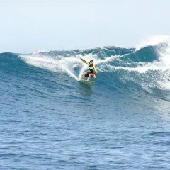 Rendezvous Malolo Eco Lodge in Malolo Island, Fiji from 95$, photos, reviews - zenhotels.com outdoors