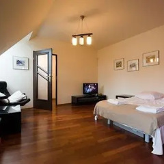 Апартаменты Visitzakopane Tatra Apartments Закопане комната для гостей фото 2