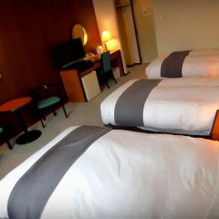 Hakuba Springs Hotel Хакуба комната для гостей фото 3