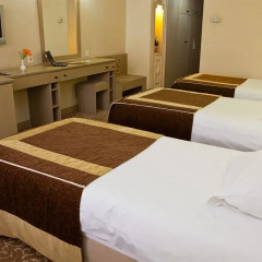 Sergah Hotel Турция, Анкара - отзывы, цены и фото номеров - забронировать отель Sergah Hotel онлайн удобства в номере