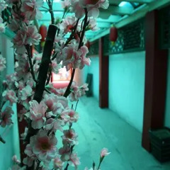 Beijing Yue Bin Ge Courtyard Hotel спа