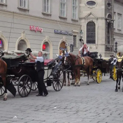 Апартаменты Vienna Old Town Apartments Вена