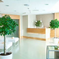 Гостиница Radisson Blu Resort & Congress Centre, Sochi спа