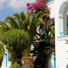 Отель San Efrem