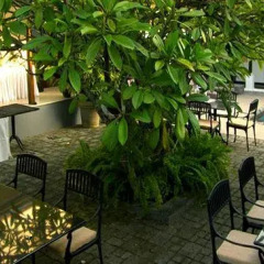 Отель Park Street Hotel Colombo Шри-Ланка, Коломбо - отзывы, цены и фото номеров - забронировать отель Park Street Hotel Colombo онлайн фото 9