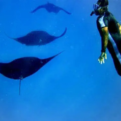 Отель Octopus Resort спортивное сооружение