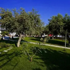 Отель Flegra Palace парковка