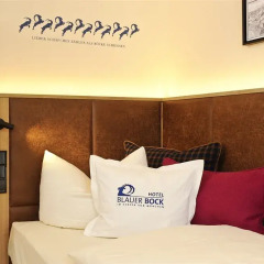 Hotel Blauer Bock комната для гостей фото 9
