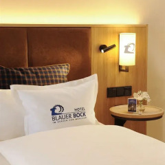 Hotel Blauer Bock комната для гостей фото 7