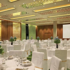 Рэдиссон Блу Шереметьево (Radisson Blu Sheremetyevo Hotel) фото 8