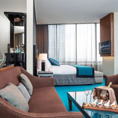 Рэдиссон Блу Шереметьево (Radisson Blu Sheremetyevo Hotel) комната для гостей фото 2