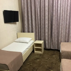 Гостиница Pamir 2* Стандартный номер разные типы кроватей фото 6