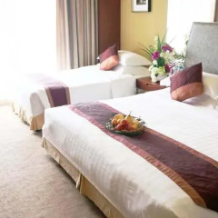 Imperial Hotel комната для гостей фото 6