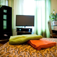 Мини-Отель Мумий Тролль Номер Комфорт с различными типами кроватей фото 2