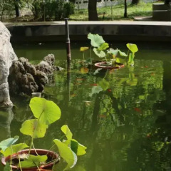 Отель Chongqing Hotel Китай, Пекин - отзывы, цены и фото номеров - забронировать отель Chongqing Hotel онлайн спа фото 2