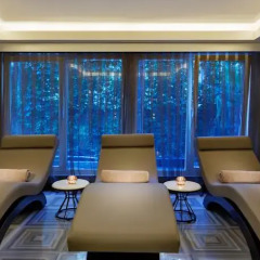 Papillon Ayscha Resort & Spa Турция, Белек - 10 отзывов об отеле, цены и фото номеров - забронировать отель Papillon Ayscha Resort & Spa - All Inclusive онлайн фитнесс-зал