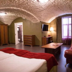 Отель Резиденция Дашковой 3* Студия