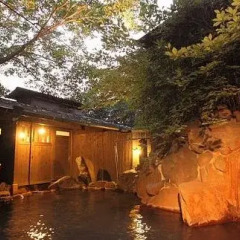 Отель Ryokan Yamanoyu Япония, Минамиогуни - отзывы, цены и фото номеров - забронировать отель Ryokan Yamanoyu онлайн бассейн