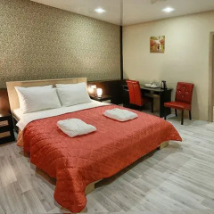 Elysium Hotel 3* Номер Делюкс с разными типами кроватей фото 11