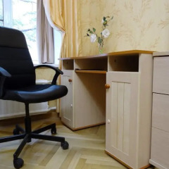 Гостиница Pauza в Санкт-Петербурге отзывы, цены и фото номеров - забронировать гостиницу Pauza онлайн Санкт-Петербург удобства в номере фото 2