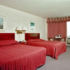 Отель Buena Vista Motor Inn 2* Люкс повышенной комфортности с различными типами кроватей
