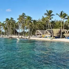 Отель The Puntacana Hotel Доминикана, Пунта Кана - отзывы, цены и фото номеров - забронировать отель The Puntacana Hotel онлайн пляж фото 4