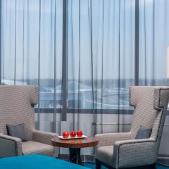 Рэдиссон Блу Шереметьево (Radisson Blu Sheremetyevo Hotel) 5* Люкс с различными типами кроватей фото 3