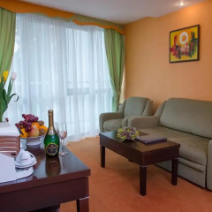 Гостиница Adelfiya Hotel в Сочи отзывы, цены и фото номеров - забронировать гостиницу Adelfiya Hotel онлайн комната для гостей фото 5
