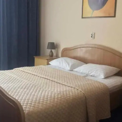 Отель Козацкий 2* Люкс