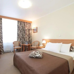 Izmailovo Gamma Delta Hotel 3* Номер Бизнес с различными типами кроватей
