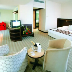 Green Max Hotel - All Inclusive комната для гостей
