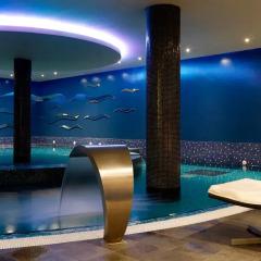 Отель Hilton Dublin Kilmainham бассейн фото 3
