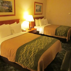Отель Comfort Inn & Suites Канада, Саанич - отзывы, цены и фото номеров - забронировать отель Comfort Inn & Suites онлайн комната для гостей фото 7