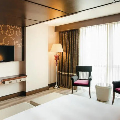 Отель The Elysium Istanbul 5* Номер Делюкс с двуспальной кроватью