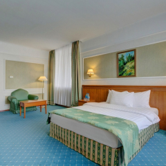 Отель Бородино 4* Номер Бизнес фото 2
