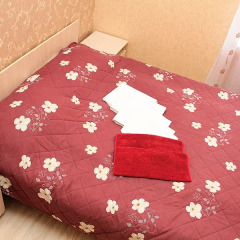 Гостиница Демократ на Некрасова 58 в номере