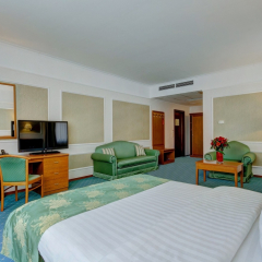 Отель Бородино 4* Номер Бизнес фото 3